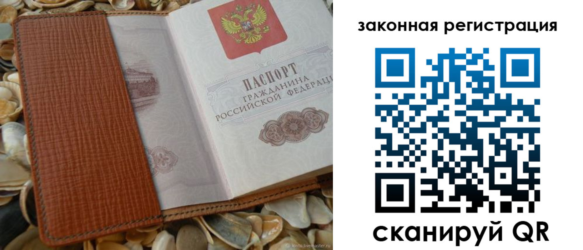 прописка паспорт в Павлово
